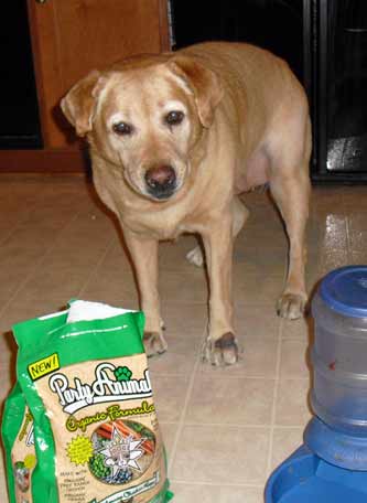 Sammie says "Yummo" to Party Animal dry dog food.