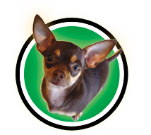 Good for your pets. Good for the planet.
