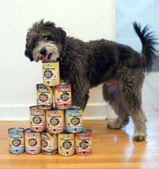 Tov wants his can opener!