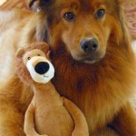 Leslie S. (Woodland Hills, CA)