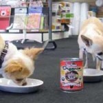 Betty P. (Los Angeles, CA)