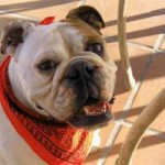 Summer & Brody (Hollywood, CA)