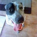 Carole N. (Reseda, CA)