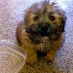 Jay & Kerry C., and Monique (Las Vegas, NV)