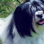 Joyce (San Francisco, CA)