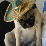 Lorayne from Arizona