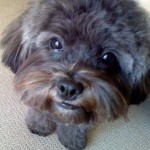 Ana (West Hollywood, CA)