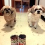 Jennifer S. (South Carolina)