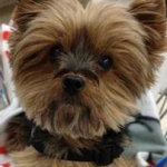 Silvia & Mignonne (Arizona)