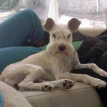 Constanze (Studio City, CA)