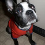 Chuck, Lisa & Rigby (West Hollywood, CA)