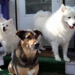 Stuart B. (Chicago, IL)