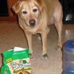 Jeanine (Santa Clarita, CA)