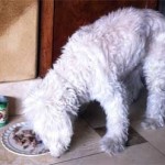 Jay & Kerry C., and Monique (Las Vegas, NV)