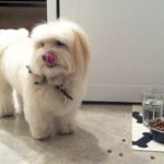 Susan (New York, NY)