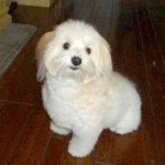 Susan (New York, NY)