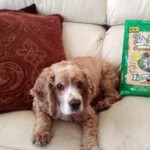 Kathy, Les and Bailey (Malibu, CA)