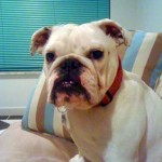 Alana (Boca Raton, FL)