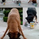 Michael (Los Angeles, CA)